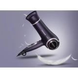 Flyco Anion FH6620 2200w