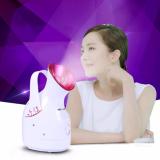 Máy xông hơi trị liệu và làm đẹp da mặt bằng hơi nước mini Sokany  