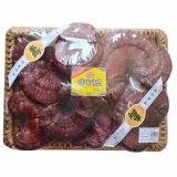 Nấm Linh Chi Núi Đỏ thơm Hàn Quốc Đóng Giỏ 1kg