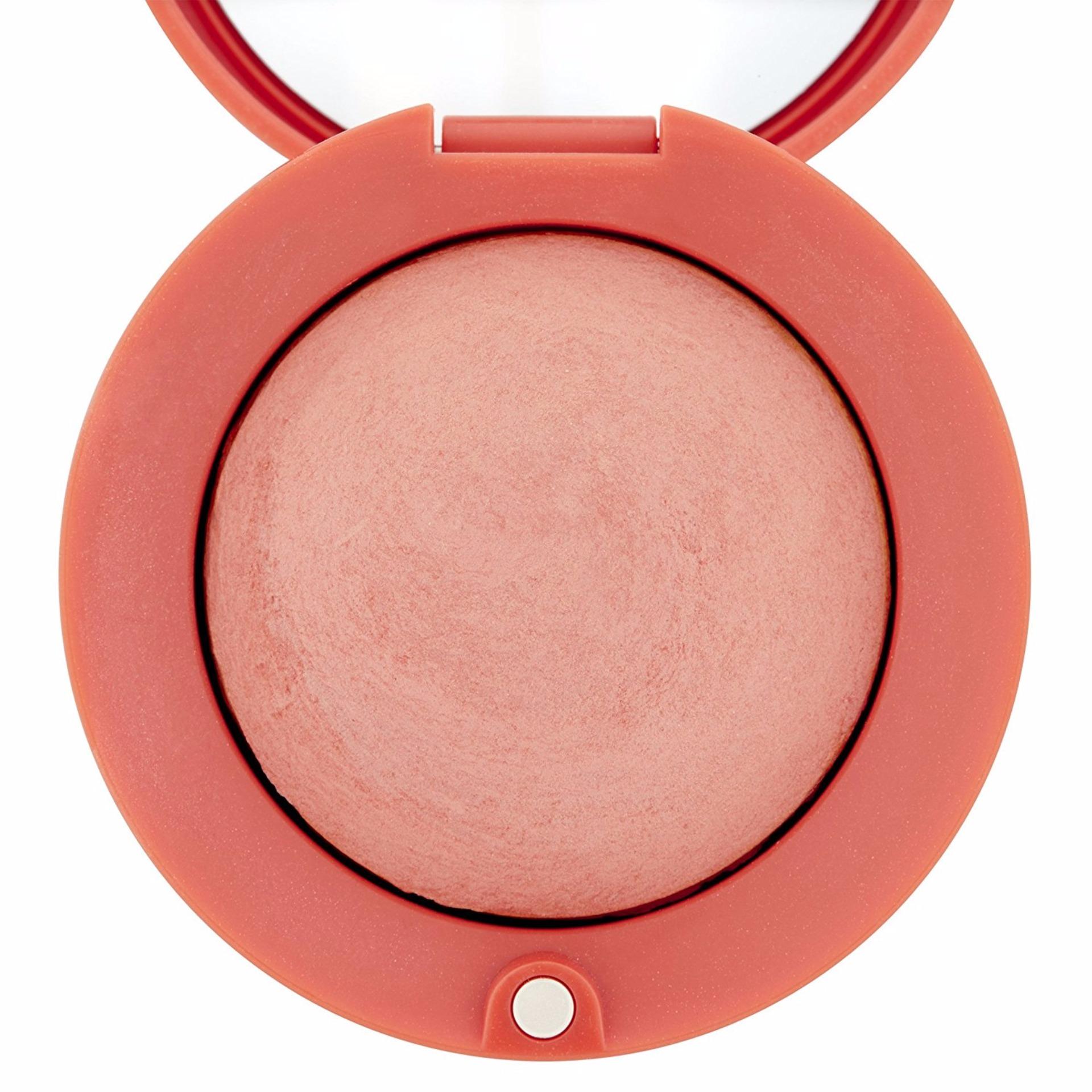 Phấn Má Bourjois Paris Depuis 1863 #41 Heathy Mix