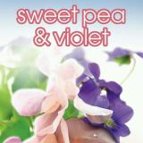 [HCM]Sáp khử mùi Suave Sweet Pea & Violet 74g