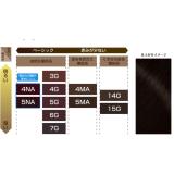 [HCM]Thuốc Nhuộm Phủ Bạc Tóc Bigen 4G Nhật Bản- Nâu Đen