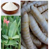 100g Tinh Bột Củ Đao -  Bạch Tuyết