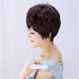 [HCM]Tóc giả trung niên nữ - TG32