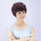 [HCM]Tóc giả trung niên nữ - TG32