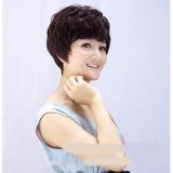[HCM]Tóc giả trung niên nữ - TG32