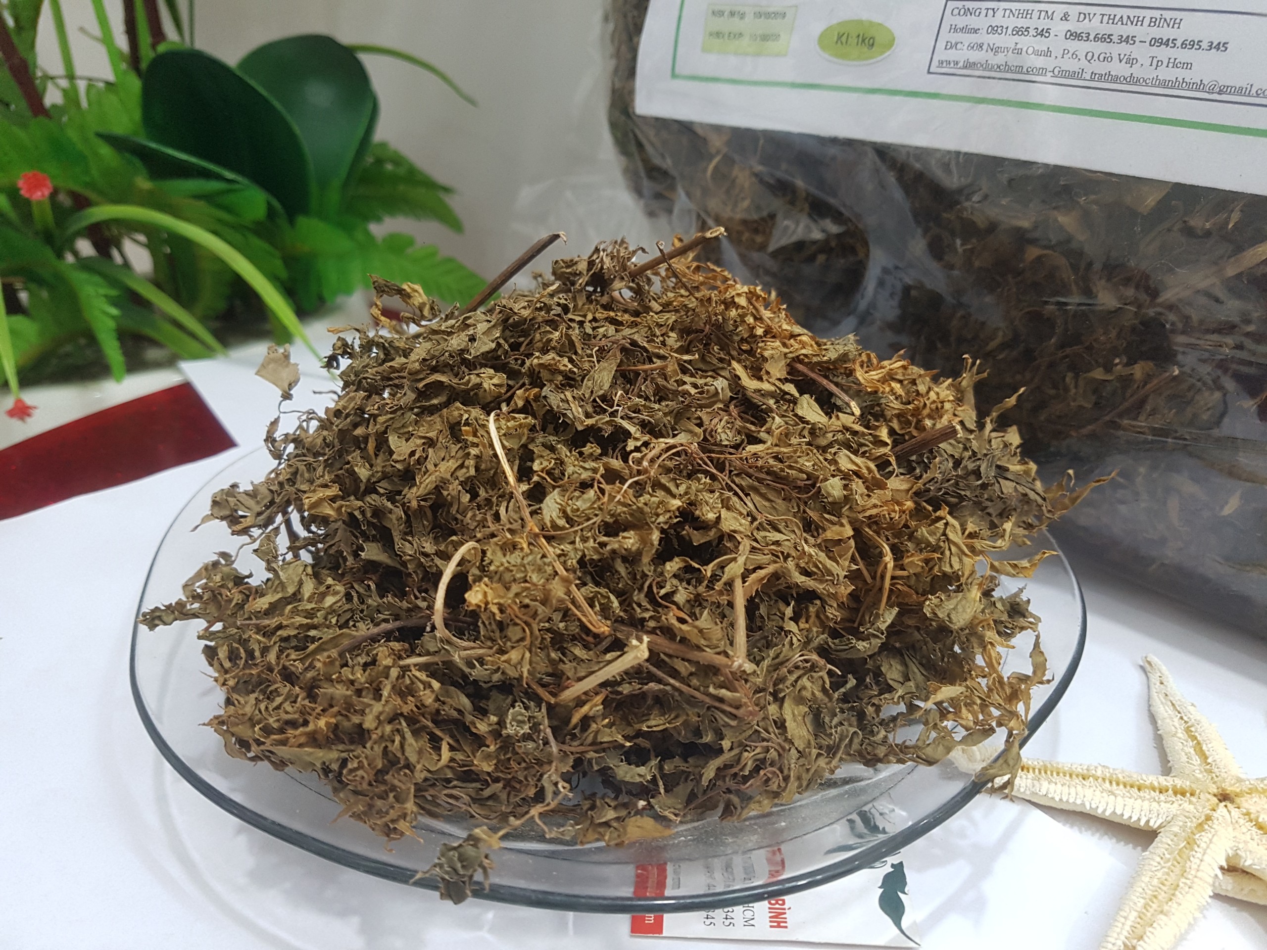 Lá Đinh Lăng Khô 1KG - Đông Y Thanh Bình