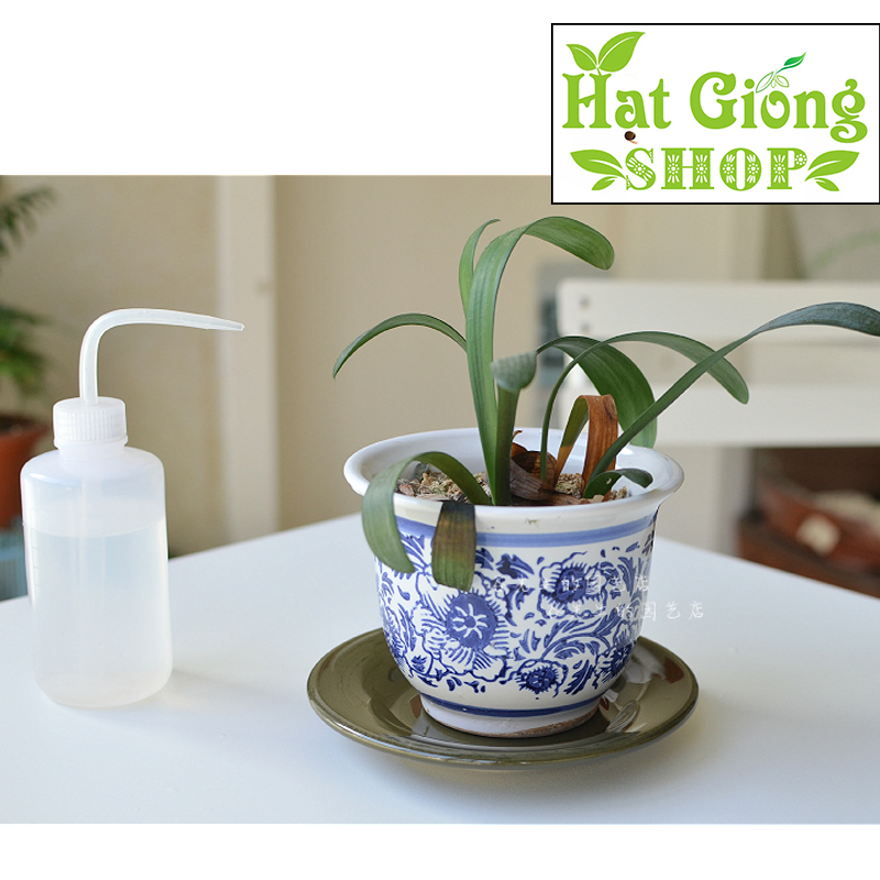 Bình Tưới nước Sen Đá 250ml-500ml-1000ml