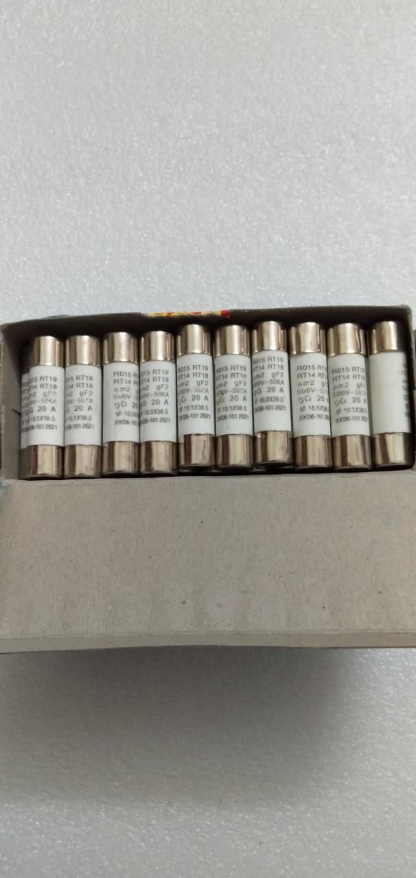 10 Cầu chì sứ 20A 500v