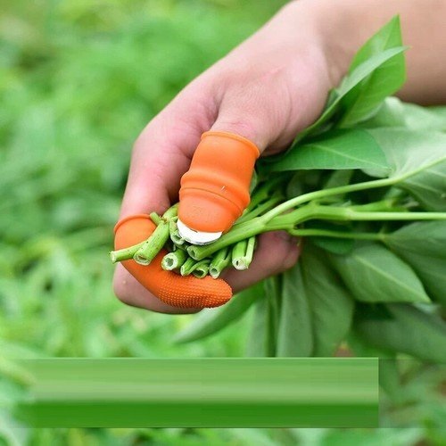 DỤNG CỤ BẤM HOA QUẢ , NHẶT RAU