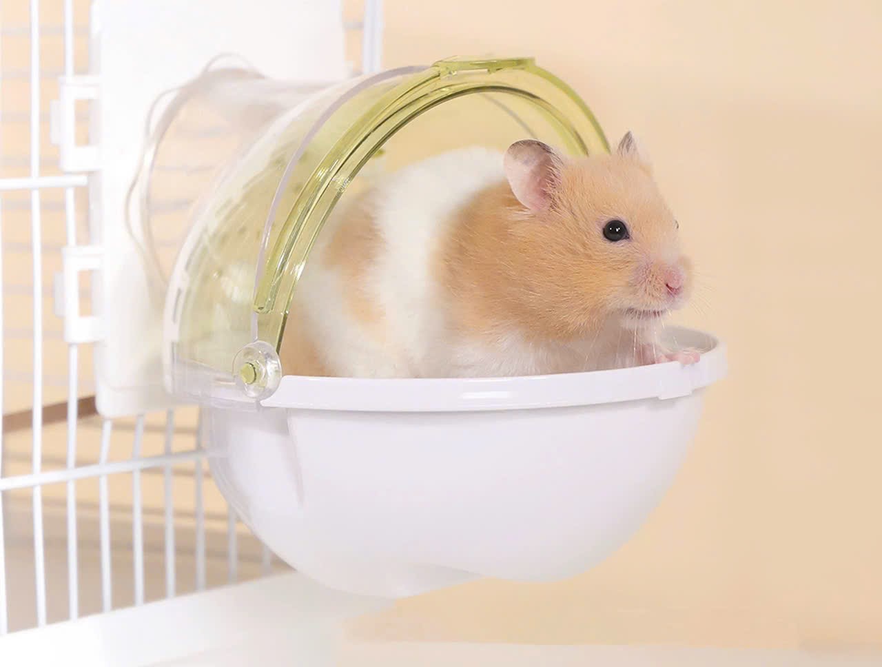 Nhà tắm vũ trụ gắn lồng dành cho hamster / đuôi mập - T3 PETS SHOP