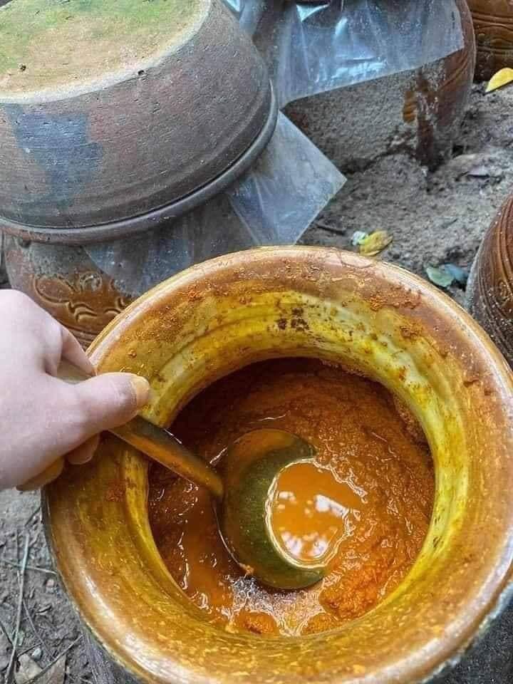 RƯỢU GỪNG NGHỆ GẤC HẠ THỔ