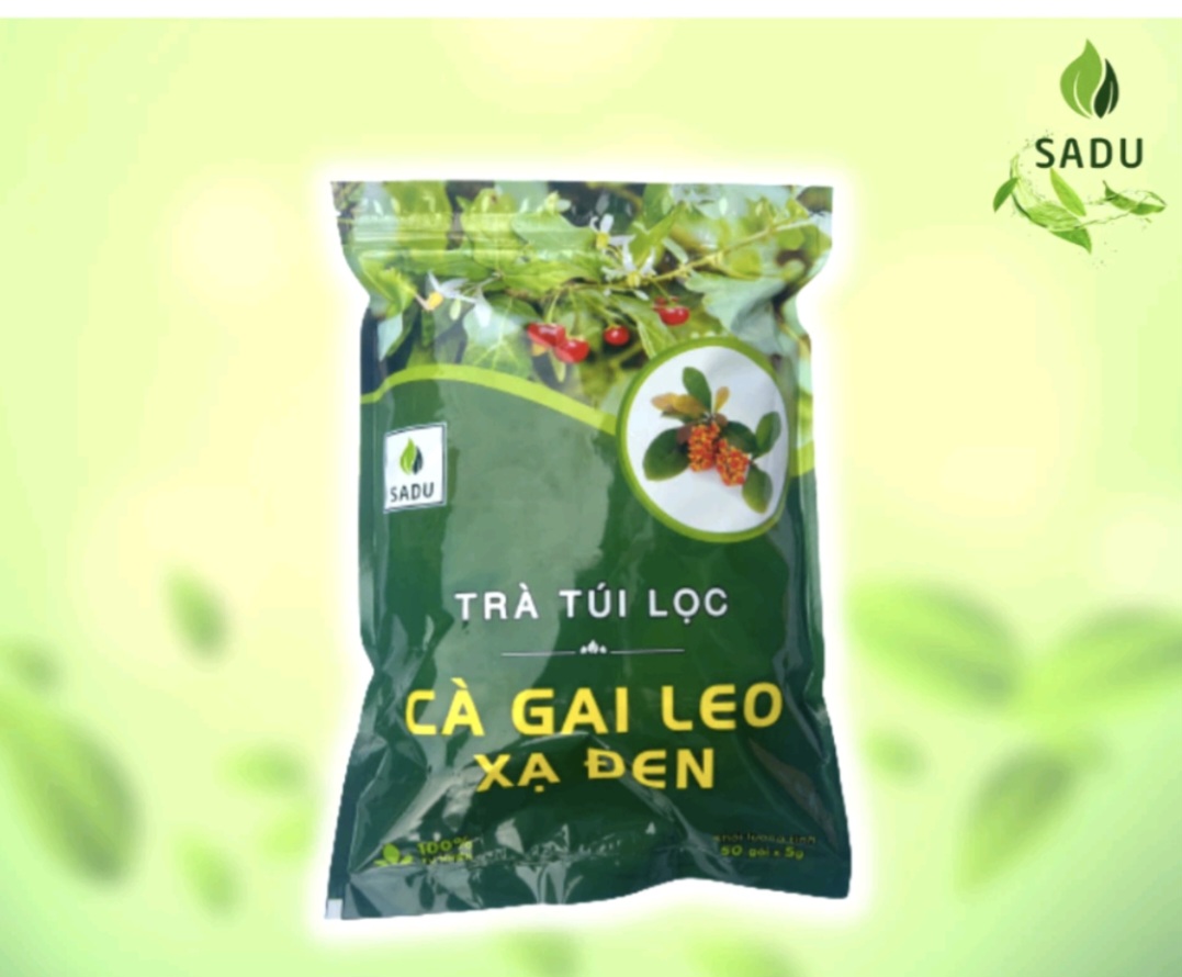 Trà XẠ ĐEN cà gai leo Sadu 250g