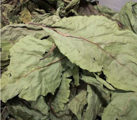 500gr lá đắng khô tốt cho dạ dày
