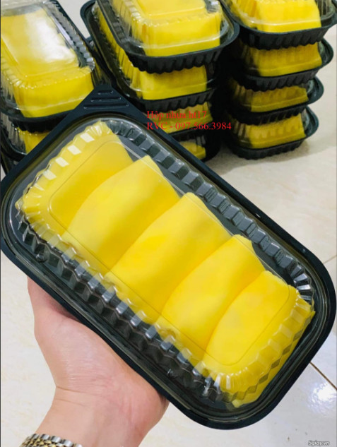 Sỉ 1 thùng hộp nhựa đế đen ht17 đựng thực phẩm