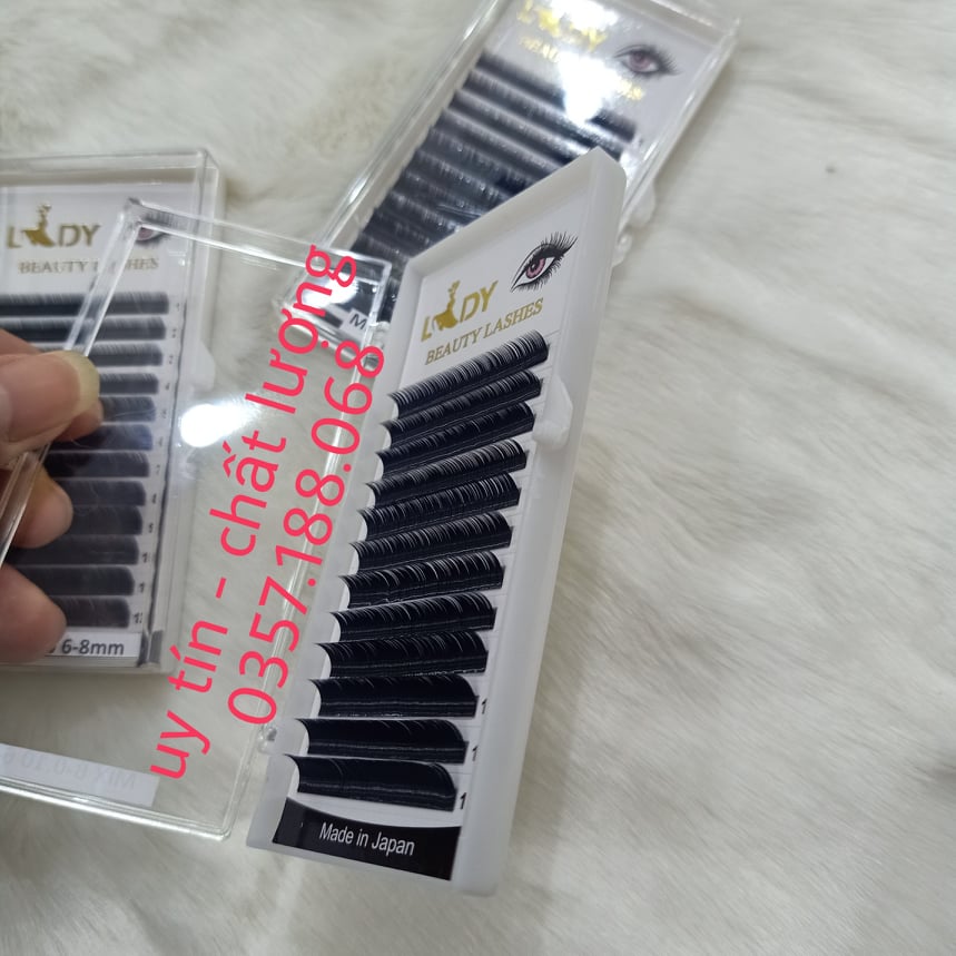 Mi Clasic nối mi dưới 6-8mm