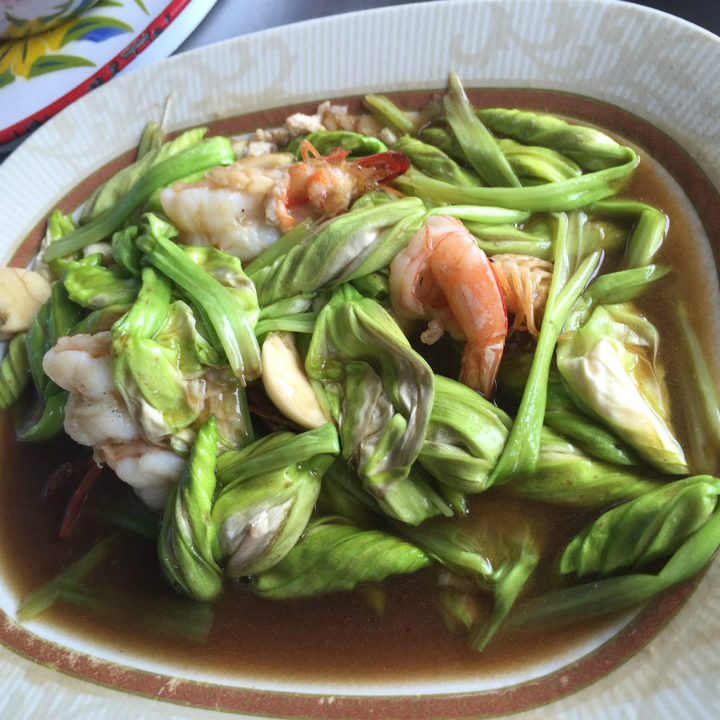 Hạt giống Hoa Chom chan Thái Lan gói 5 hạt