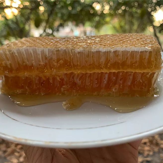 mật ong nguyên sáp 1kg