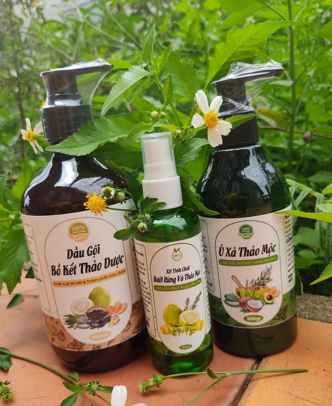 Dầu gội thảo mộc, dưỡng sinh ( loại bỏ gàu, nấm ngứa, giảm gãy rụng tóc)