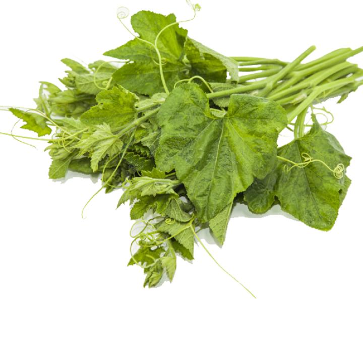 Hạt giống Bí ngọn siêu đọt SV 579 - 10GR