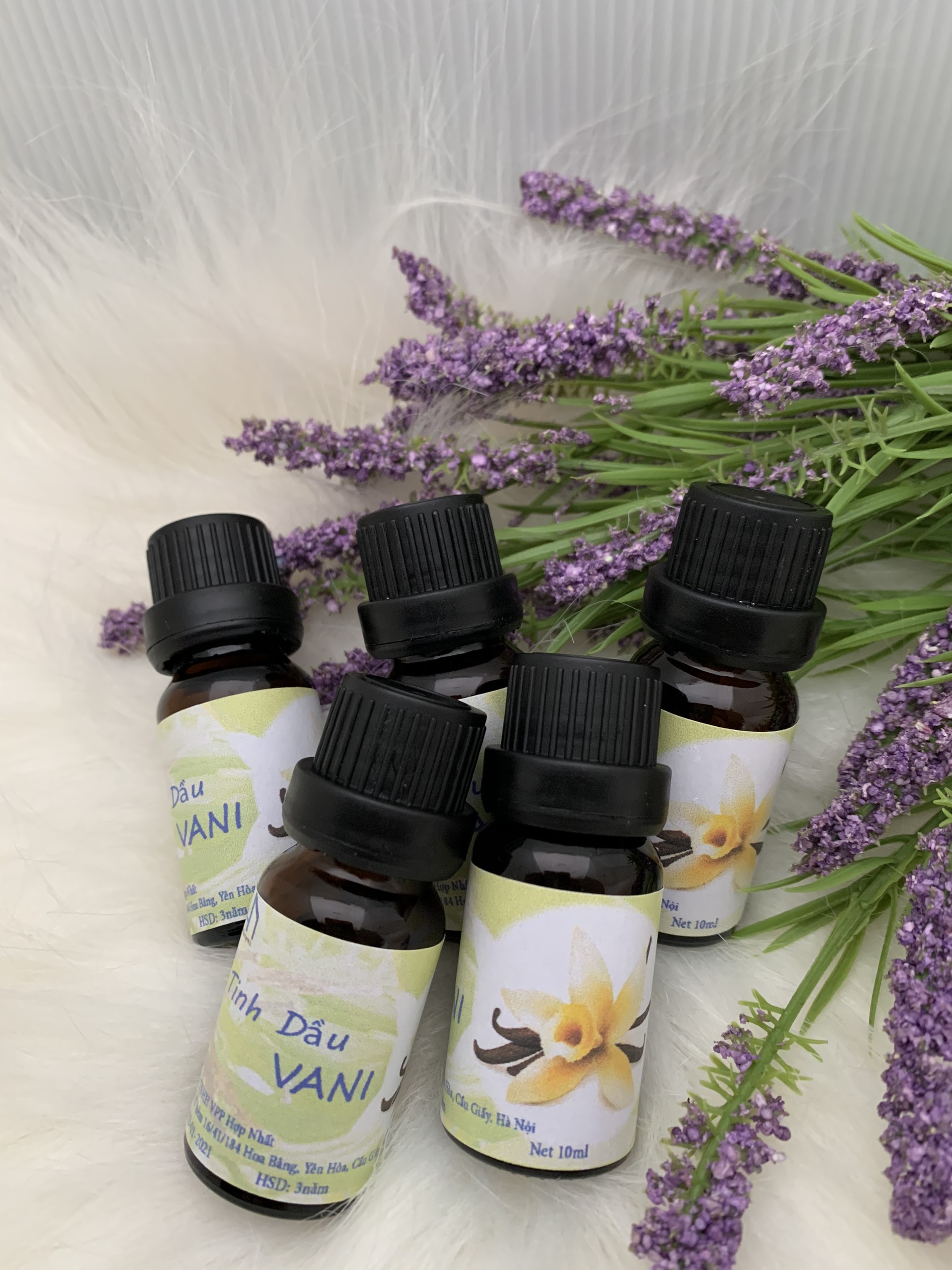Tinh Dầu Thơm Hương Vani Lọ 10ml