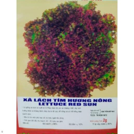 Hạt giống Xà Lách Tím - Gói 2 gram