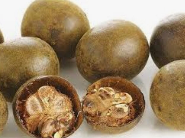 Combo of 10 Arhat Fruit to Cook with Ginseng Water