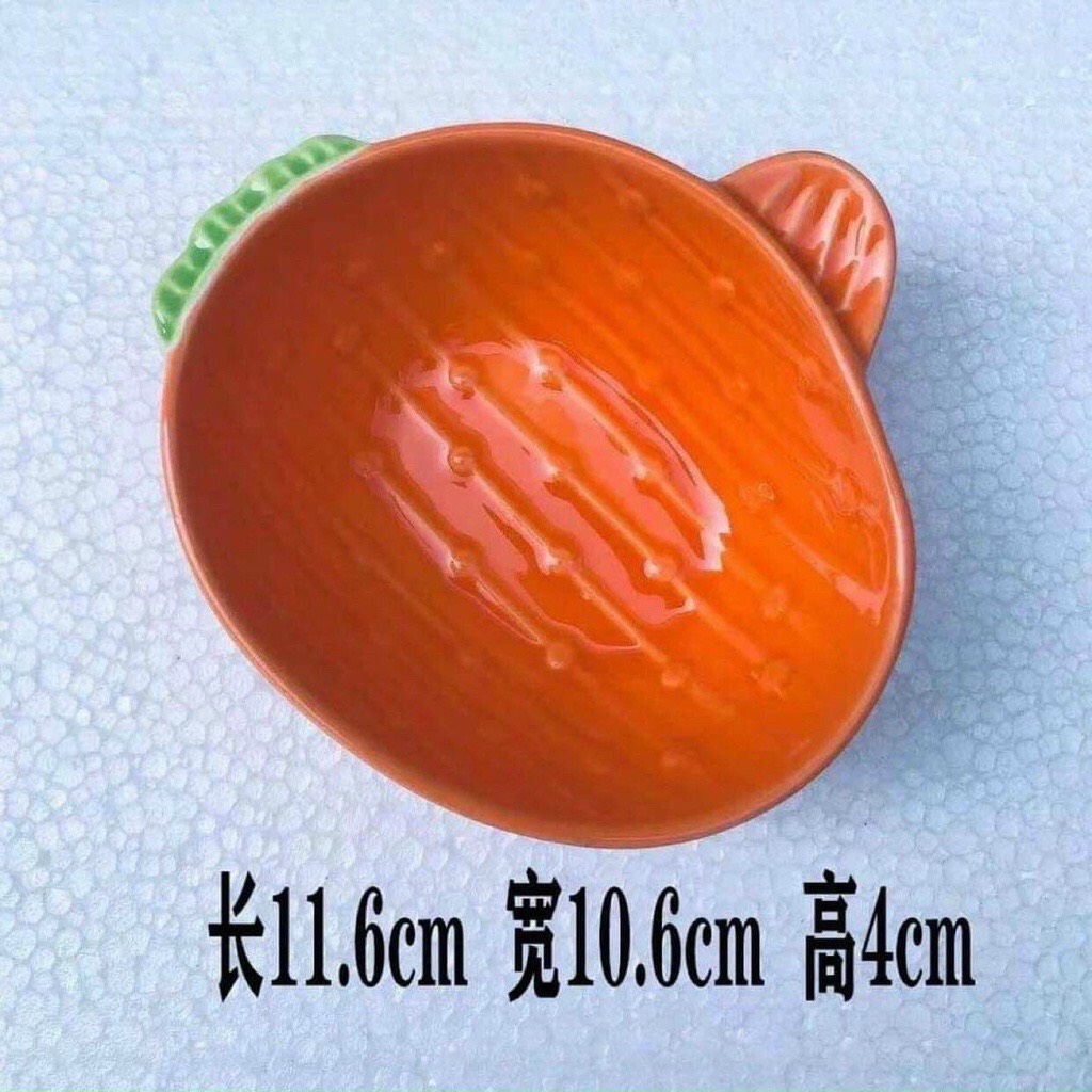 Chén Sứ,Bát Ăn Dặm Xương Rồng cho bé
