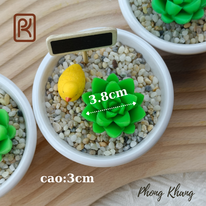 Khuôn silicon 4d Phong Khang làm rau câu sen đá