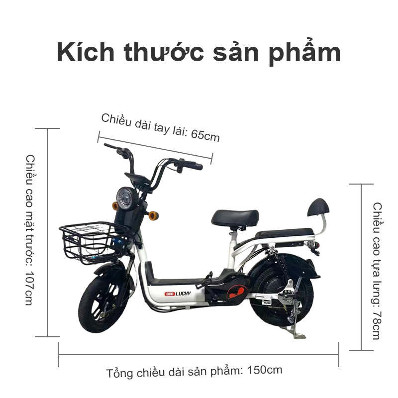 Xe máy điện, Xe đạp điện hàm lượng carbon thấp