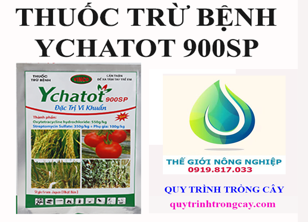 Ychatot 900sp TT-speciality for black cotton on mango plant