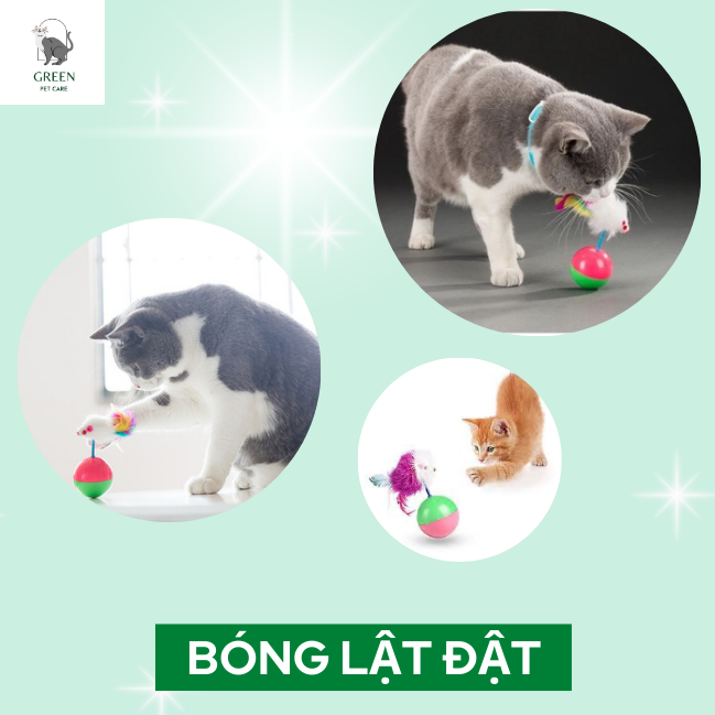Đồ chơi cho chó mèo bóng lật đật gắn chuột lông