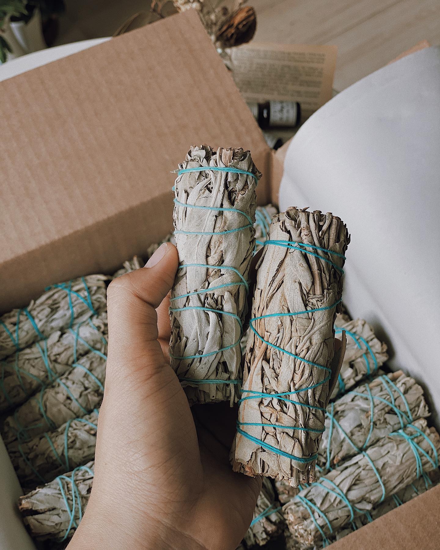 [HCM]Bó Xô Thơm Trắng (White Sage)