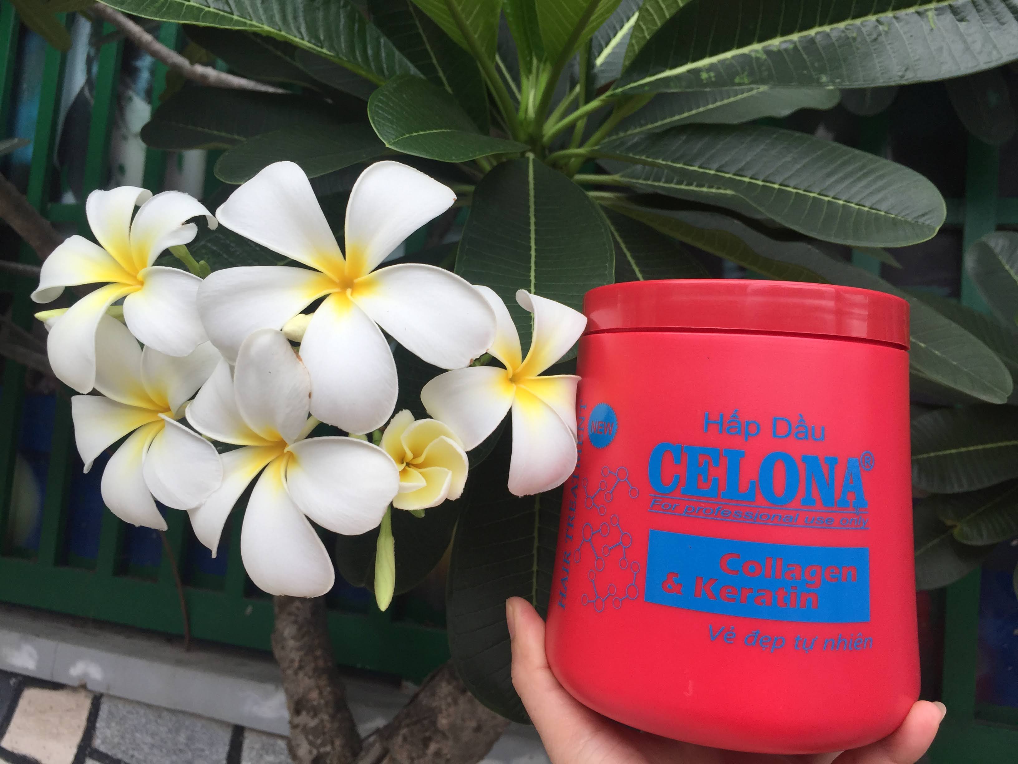 Hấp dầu CEOLONA Collagen & Karetin 1000 ml