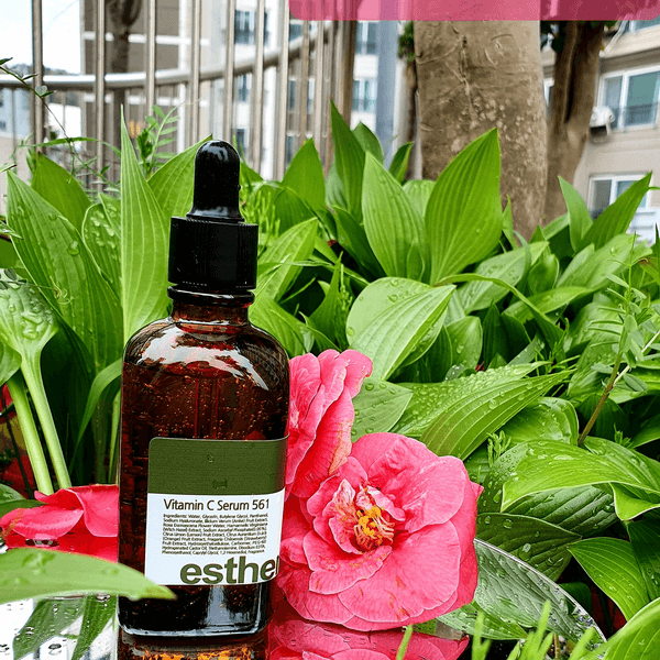 Vitamin C Serum 561 Esthemax