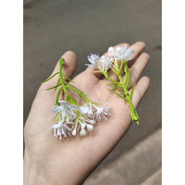 100gr cỏ điểm hoa các loại đã nhặt sạch cọng dư