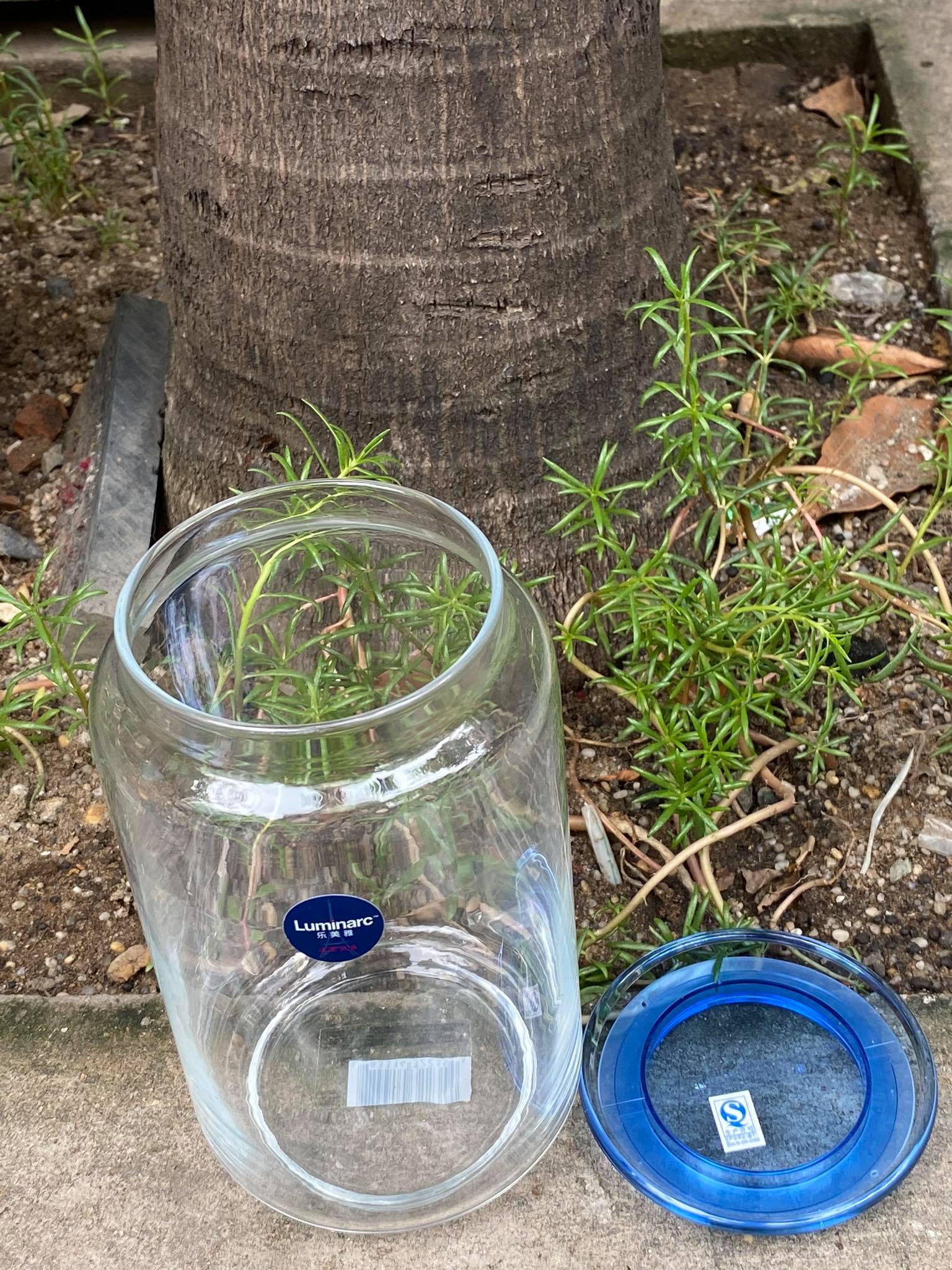 [HCM]( 1 HỦ ) Hủ thủy tinh Luminarc 1000ml