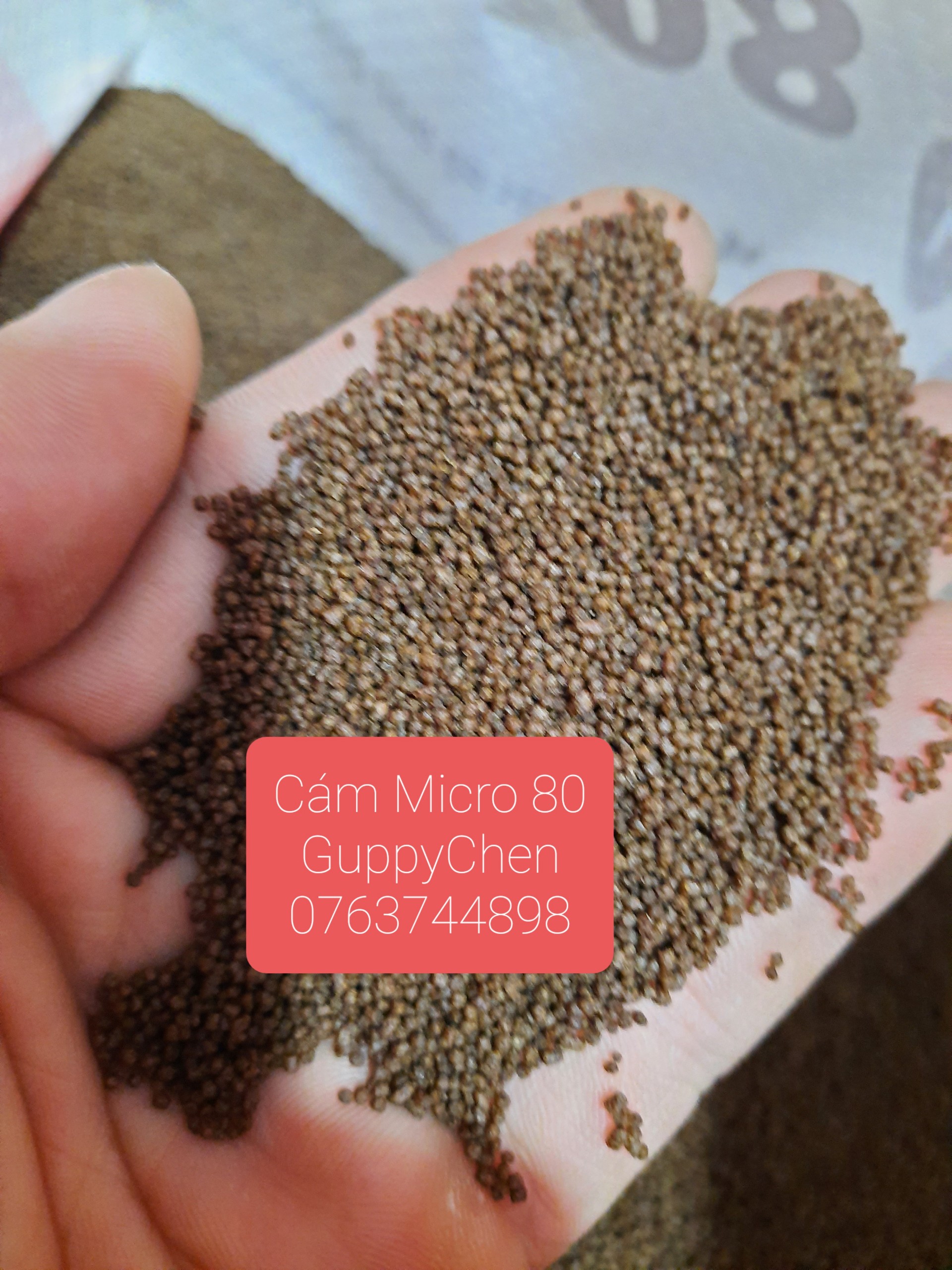 100Gr Cám Micro Hạt Nổi Cho Cá