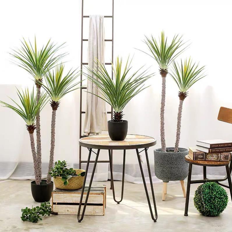 Cây giả Decor trang trí - Cây phát tài núi [Giống thật 99%]