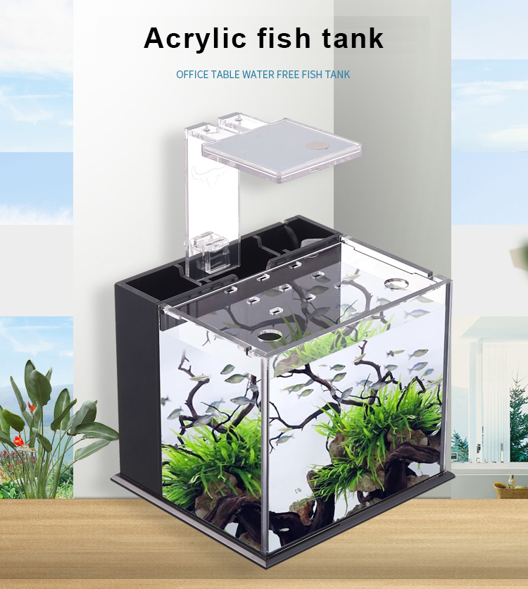 Bể cá mini để bàn Bể thủy sinh mini để bàn 07