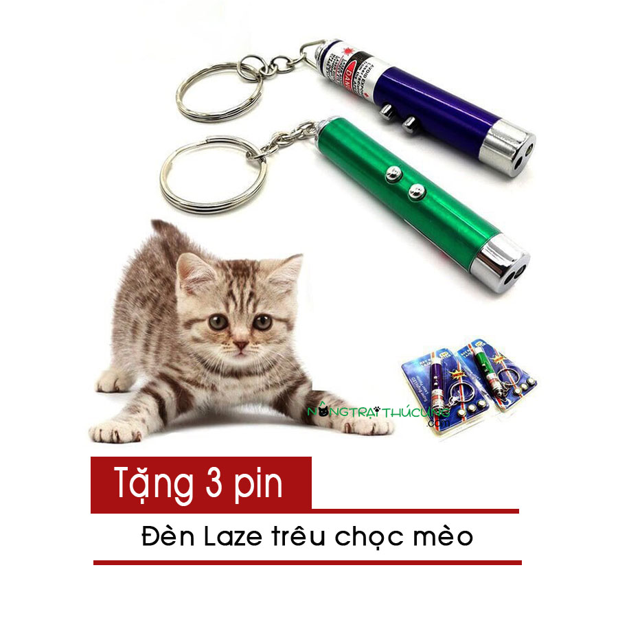 Đàn Laze trêu chọc mèo - Đồ chơi cho mèo - [Nông Trại Thú Cưng]