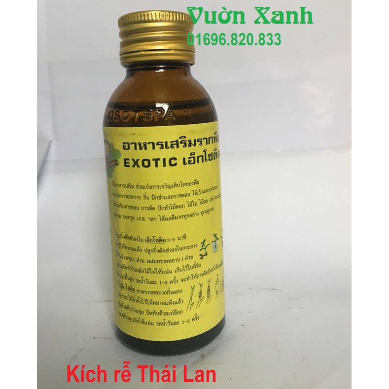 Kích rễ Thái Lan Siêu mạnh Exotic 100ml