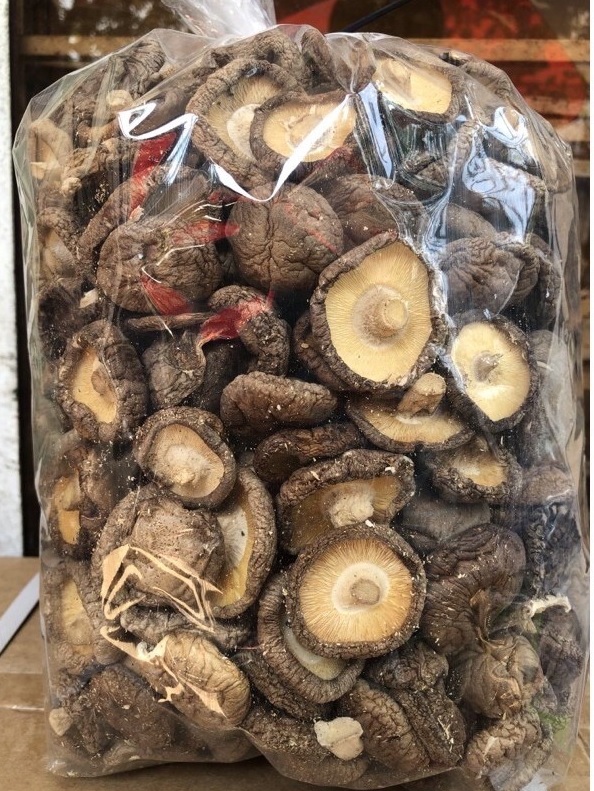 NẤM ĐÔNG CÔ 500GR