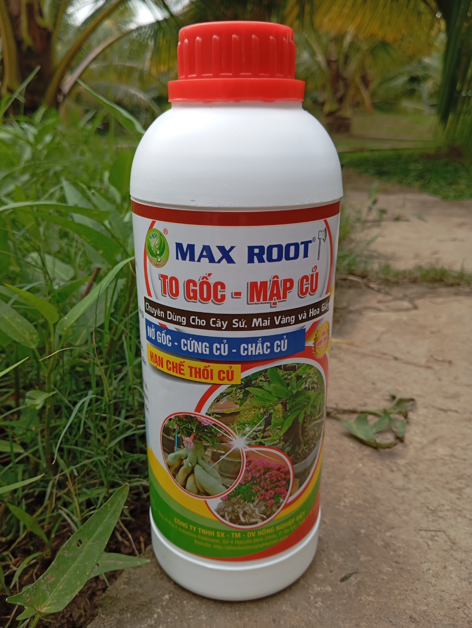 Phân Bón To Củ Chuyên Sứ, Mai, Hoa Giấy,...