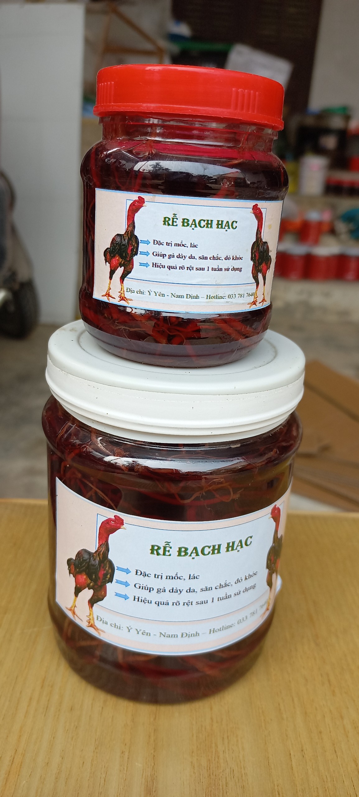 Rễ bạch hạc trị mốc
