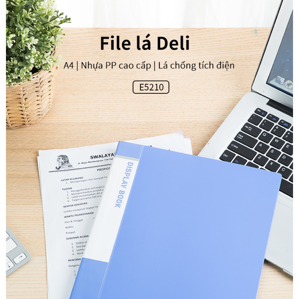 File 10 lá Deli