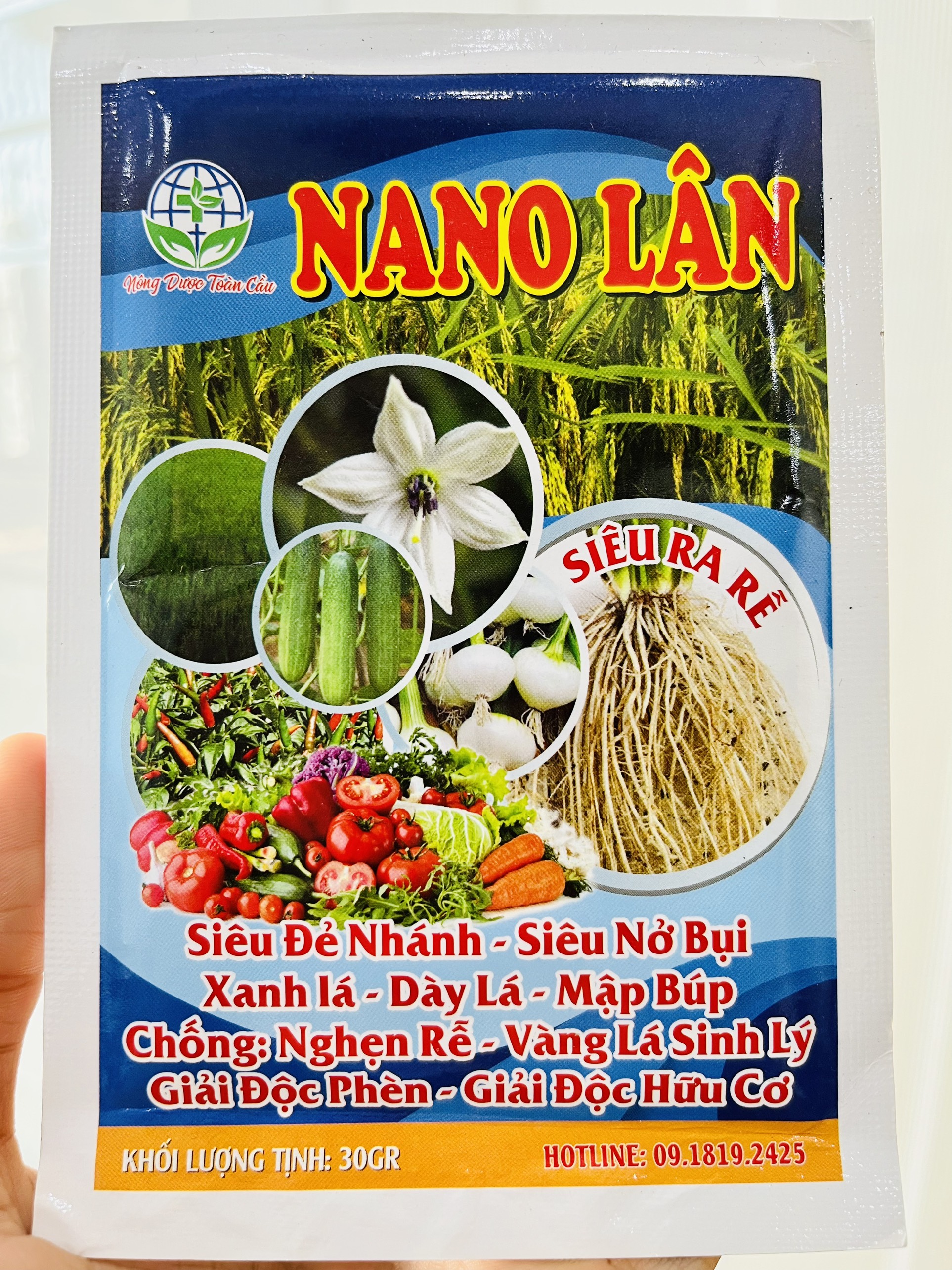 Nano lân - Siêu ra rễ