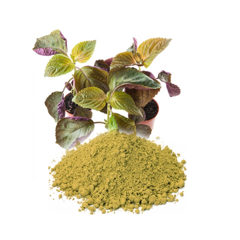 Bột tía tô nguyên chất [200G]