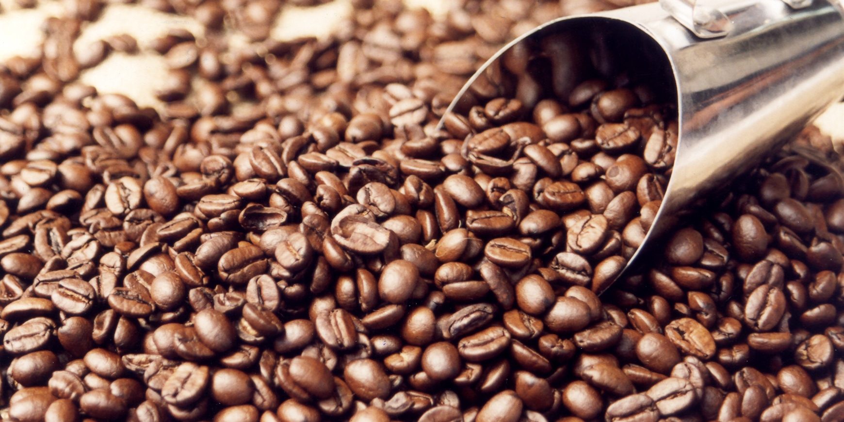 KPC Coffee Robusta Beans