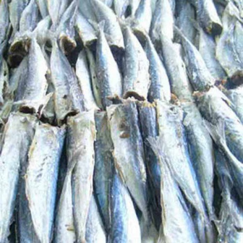 500gram khô cá nục - cá nục khô loại ngon